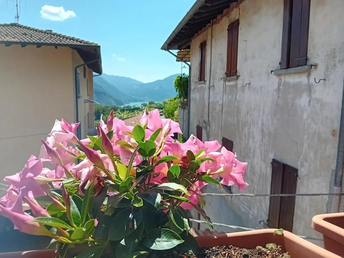 Dom wakacyjny Willa Casa Di Ariel Carlazzo